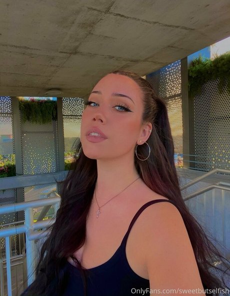 Sweetbutselfish
