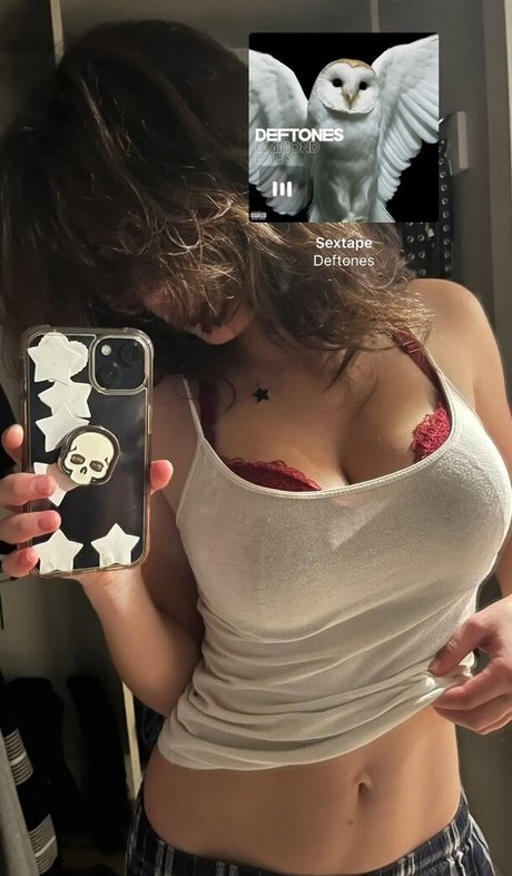 Catfanpage1234