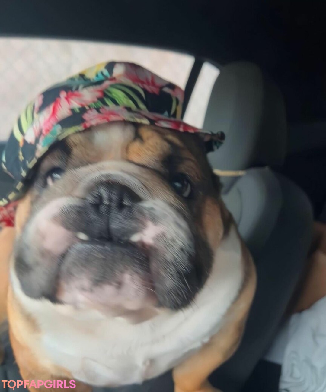 Naakte gelekte OnlyFans-foto van Princessemilyyyy #11 Naakte gelekte OnlyFans-foto van Princessemilyyyy #11