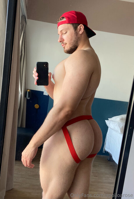 Apolloarose