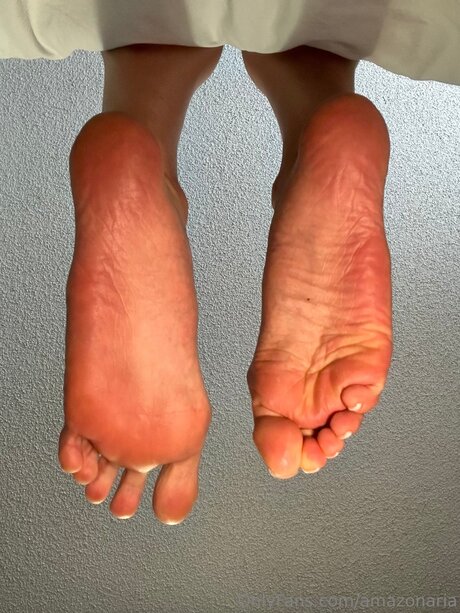 Amazonaria
