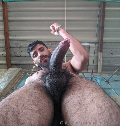Arabianboyxl