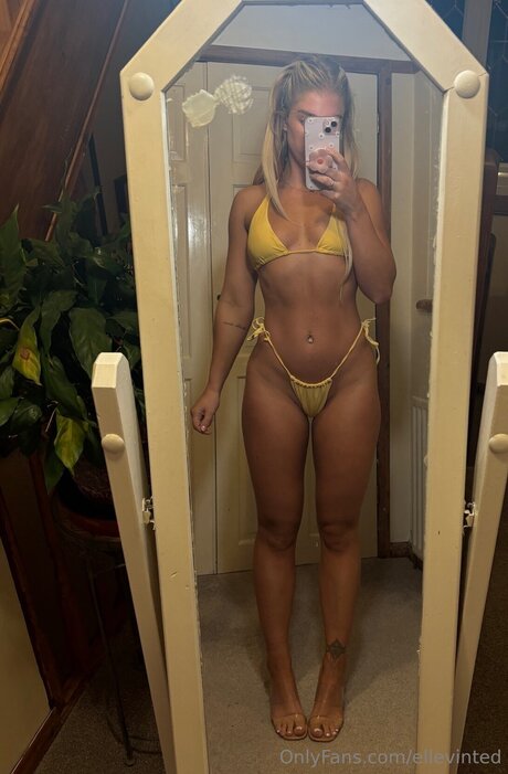 Ellyvinted
