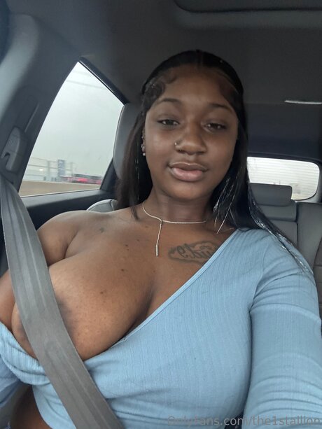 The1stallion