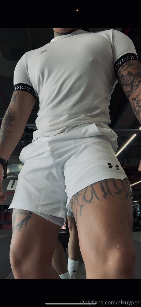 Naakte gelekte OnlyFans-foto van Elkuyper