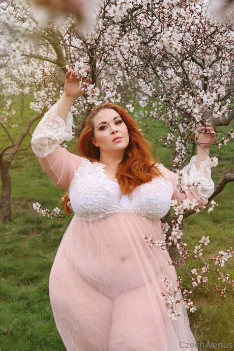 Czech Venus