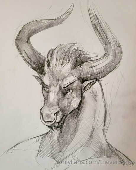 Theveilseries