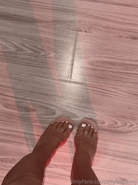 Shyfeetanny