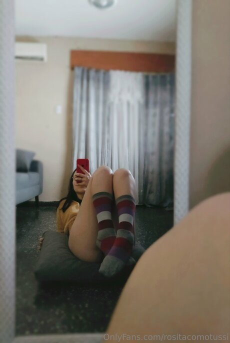 Rositacomotussi