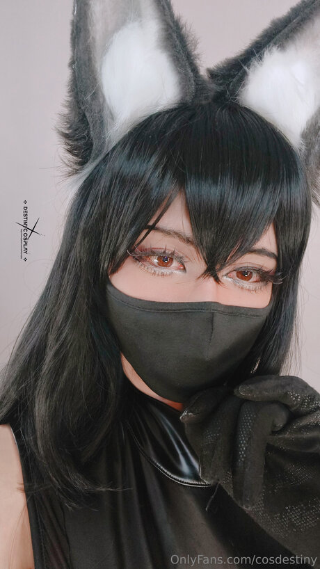 Cosdestiny
