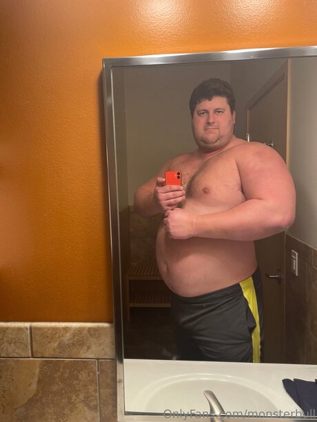 Thebulkinghog