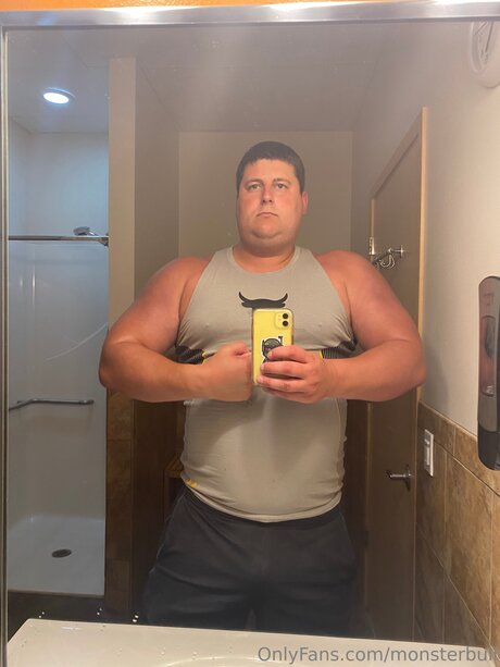 Thebulkinghog