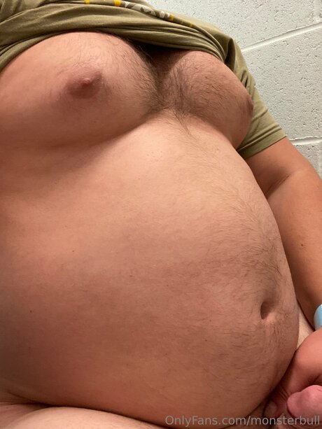 Thebulkinghog
