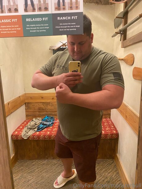 Thebulkinghog