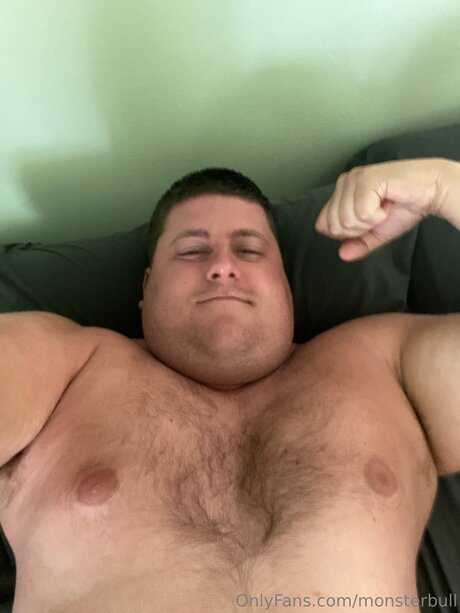 Thebulkinghog