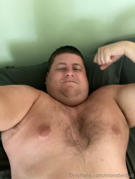 Thebulkinghog