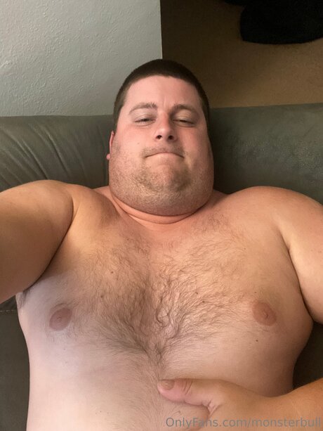 Thebulkinghog