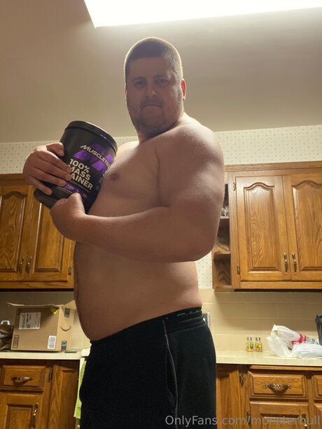 Thebulkinghog