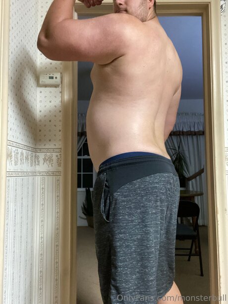 Thebulkinghog