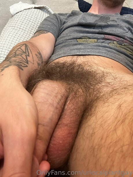 Urlocalplantgay