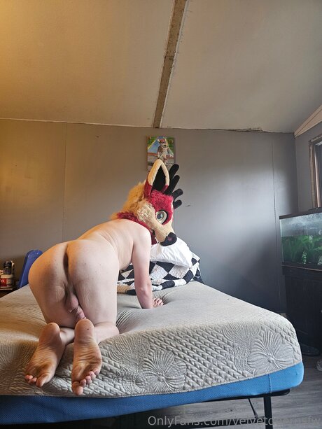 Naakte gelekte OnlyFans-foto van Velvetdeernsfw
