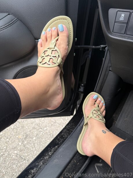 Baresoles407