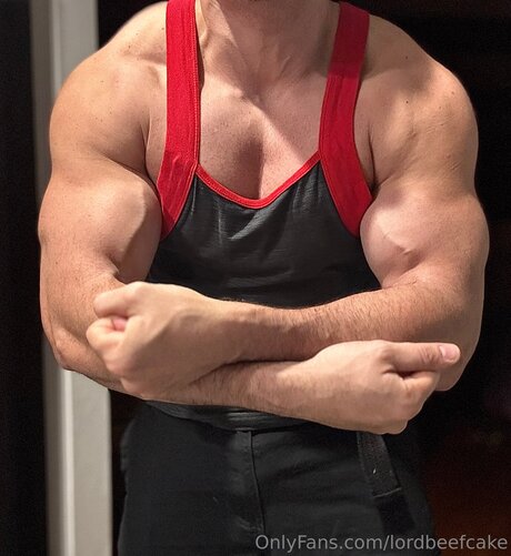 Lordbeefcake