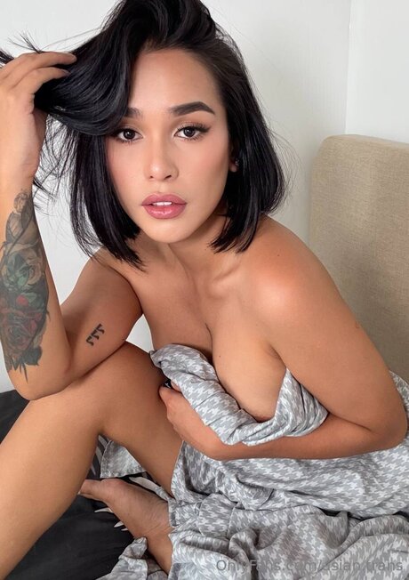 Asian Trans