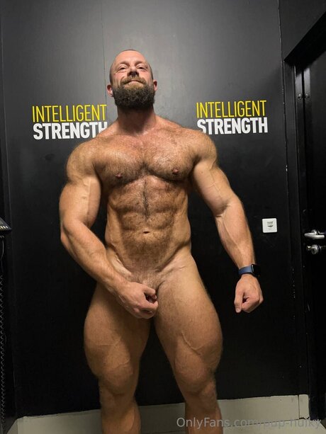 Pup Hulky