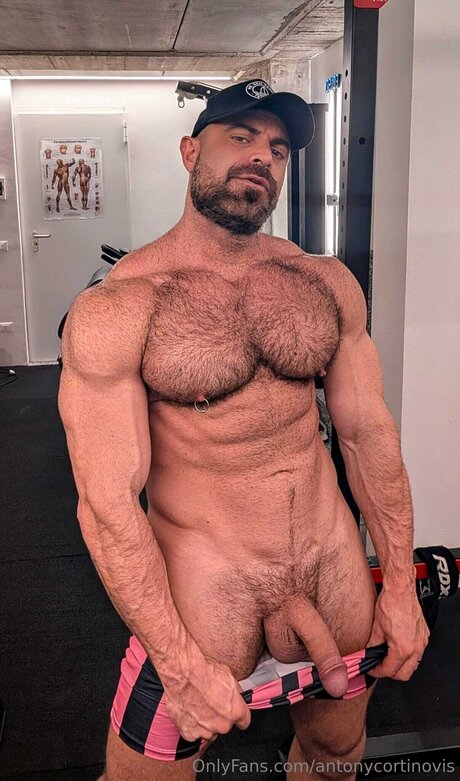 Antonycortinovis