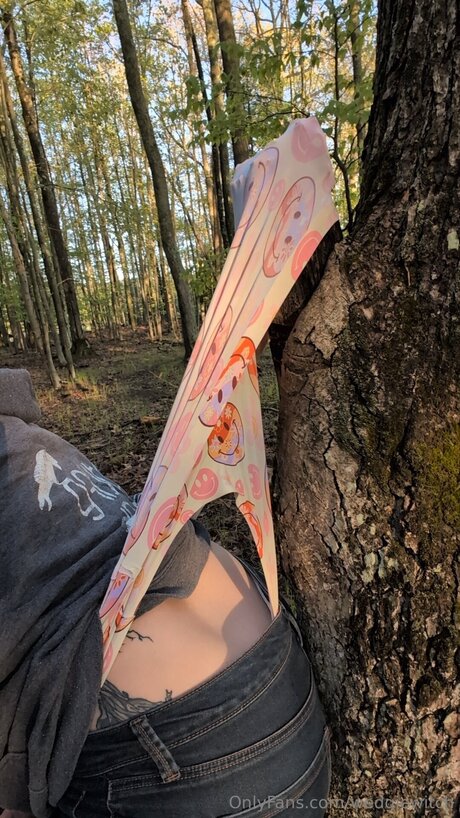 Wedgiewitch