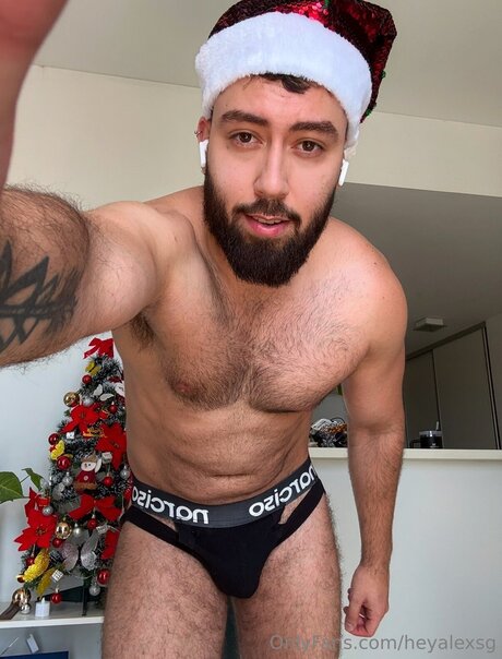 Heyalexsg