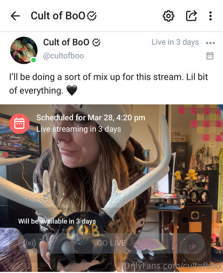 Cultofboo
