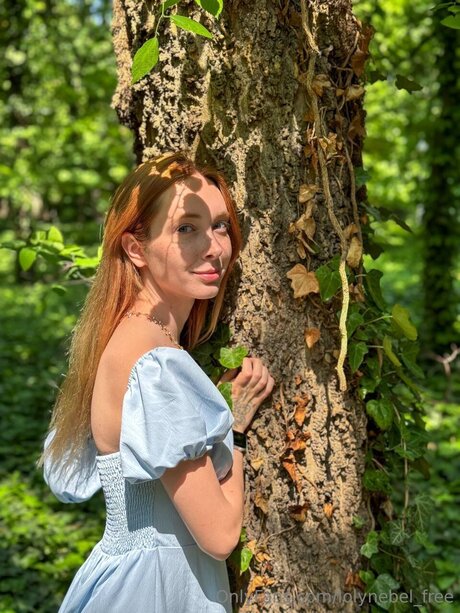 Lolynebel Free