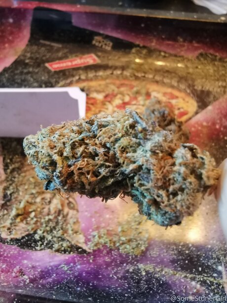 Somestonergirl