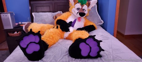 Naakte gelekte OnlyFans-foto van Thepineapplefox