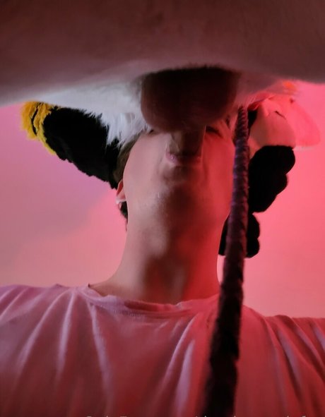 Thepineapplefox