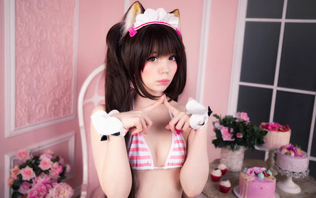 Caticornplay