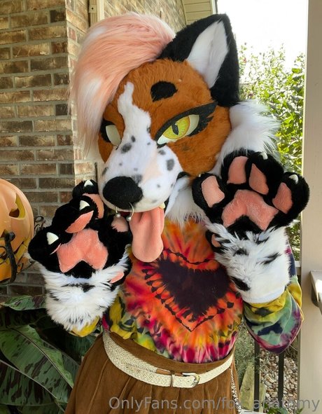 Foxanatomy