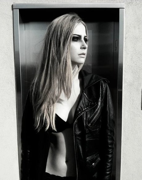 Stevie Wynne Levine