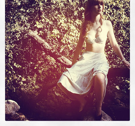 Stevie Wynne Levine
