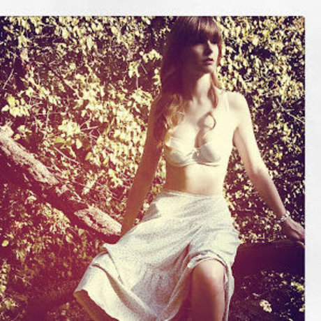 Stevie Wynne Levine