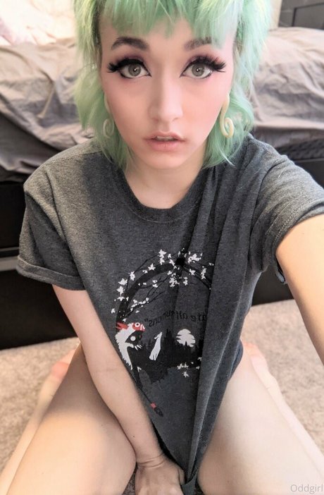 Thelandofodd