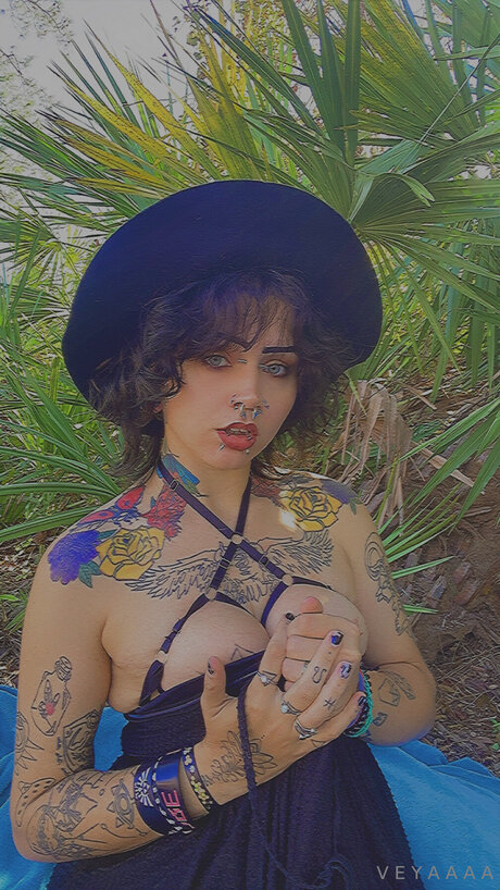 Veyavilla