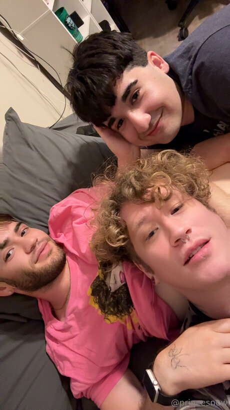 Princecsart