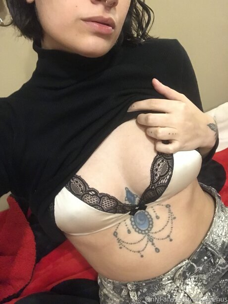 Miss Venus