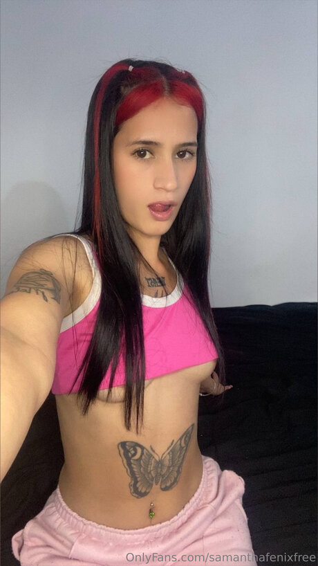 Camiinoefree