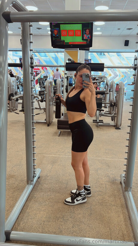 Martinaarias