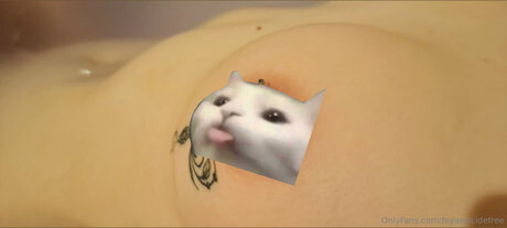 Feyasuicidefree