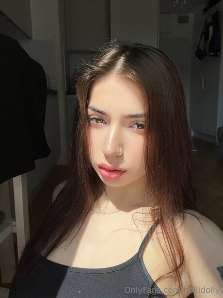 Hollidolly